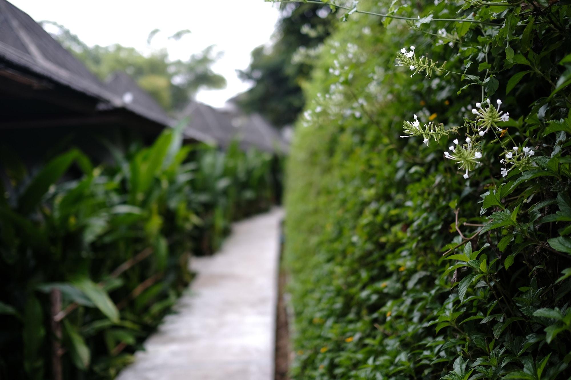 Yoma Hotel, Pai Ngoại thất bức ảnh