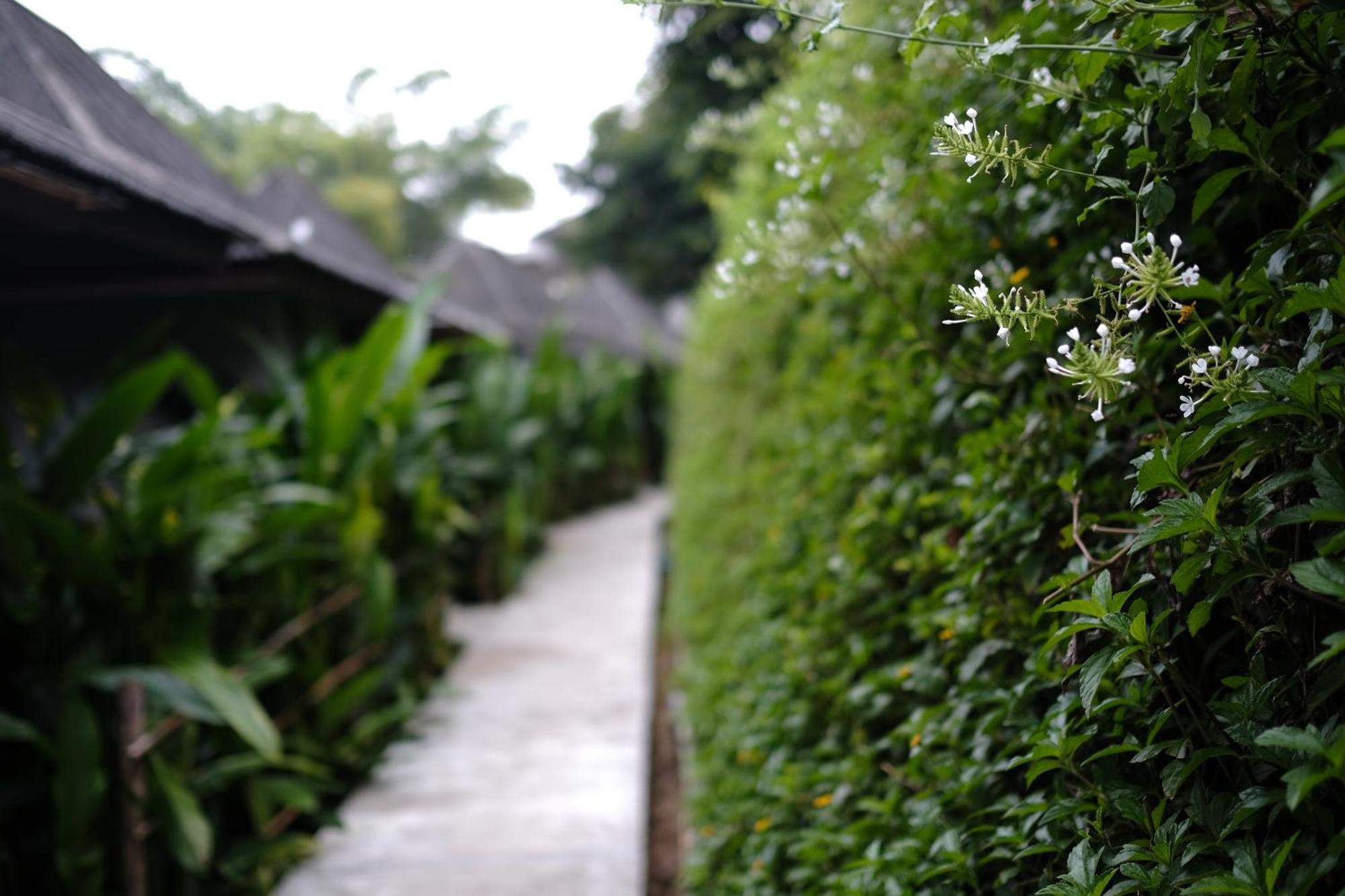 Yoma Hotel, Pai Phòng bức ảnh