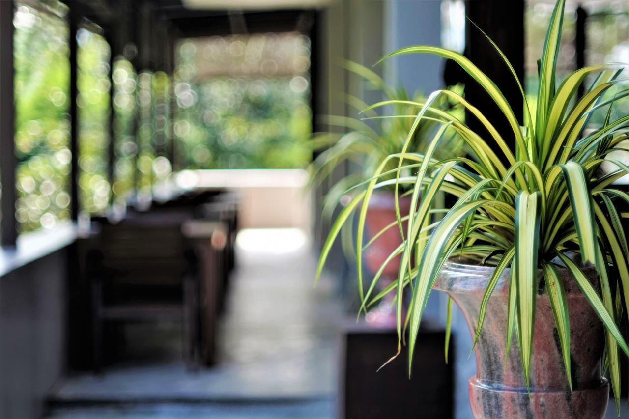 Yoma Hotel, Pai Ngoại thất bức ảnh